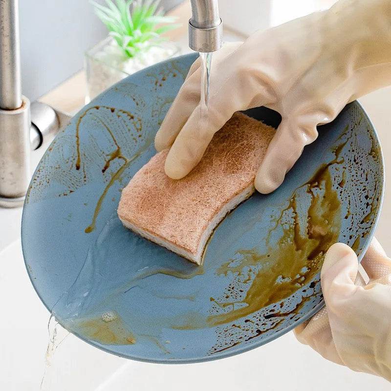 18 Esponjas de Lavar Louça Natural de Fibra de Casca de Coco - Haustter - Haustter