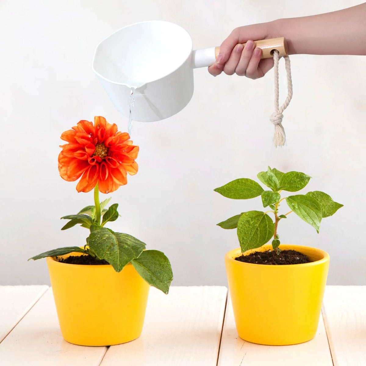 Jarra com Cabo Longo de Madeira - Haustter - Haustter