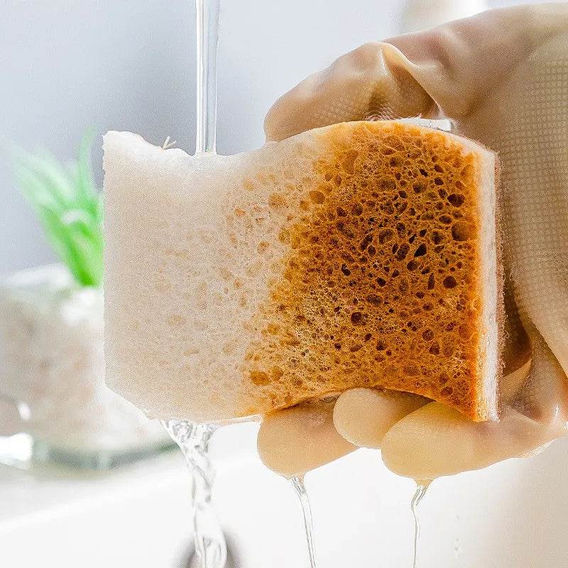 18 Esponjas de Lavar Louça Natural de Fibra de Casca de Coco - Haustter - Haustter