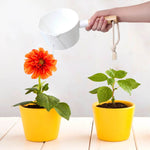 Jarra com Cabo Longo de Madeira - Haustter - Haustter