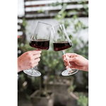 Conjunto de 6 Taças de Cristal 460ml para Água e Vinho | Haustter - Haustter