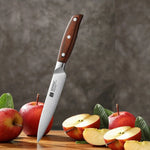 Faca Utilitária XINZUO Zhi 5" em Aço Alemão com Cabo de Madeira Pakka | Haustter