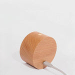 Luminária Com Bola Magnética Giratória - Haustter